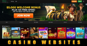 Casino websites